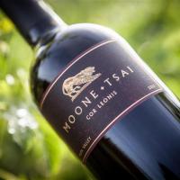 2128Moone-Tsai _Bronk